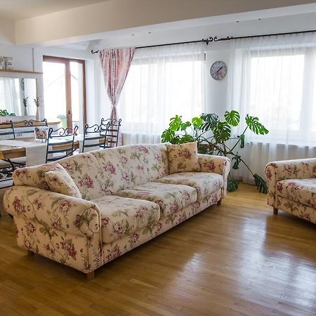 Silvia'S Apartment Voluntari Exteriér fotografie
